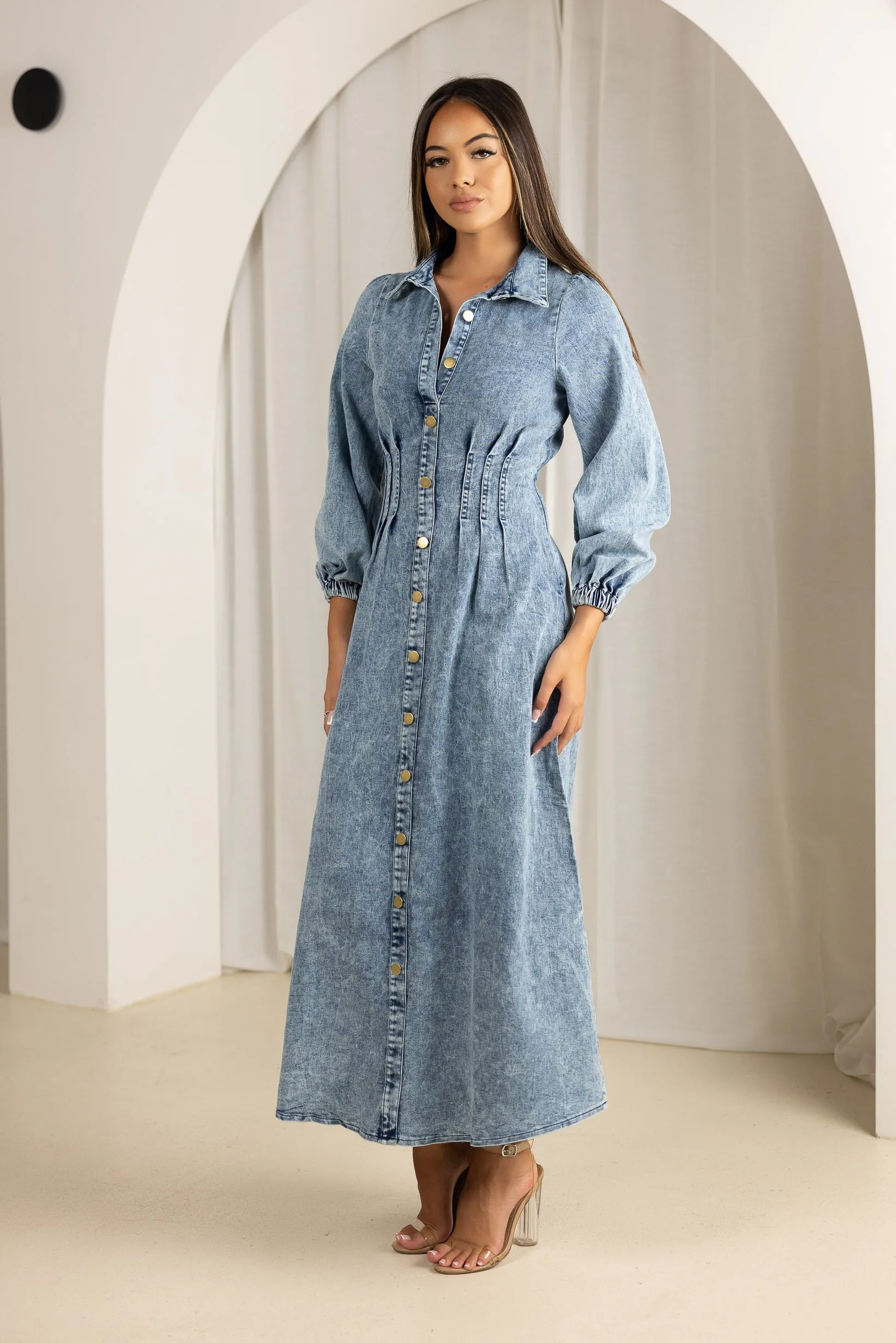 Bonni Denim Dress