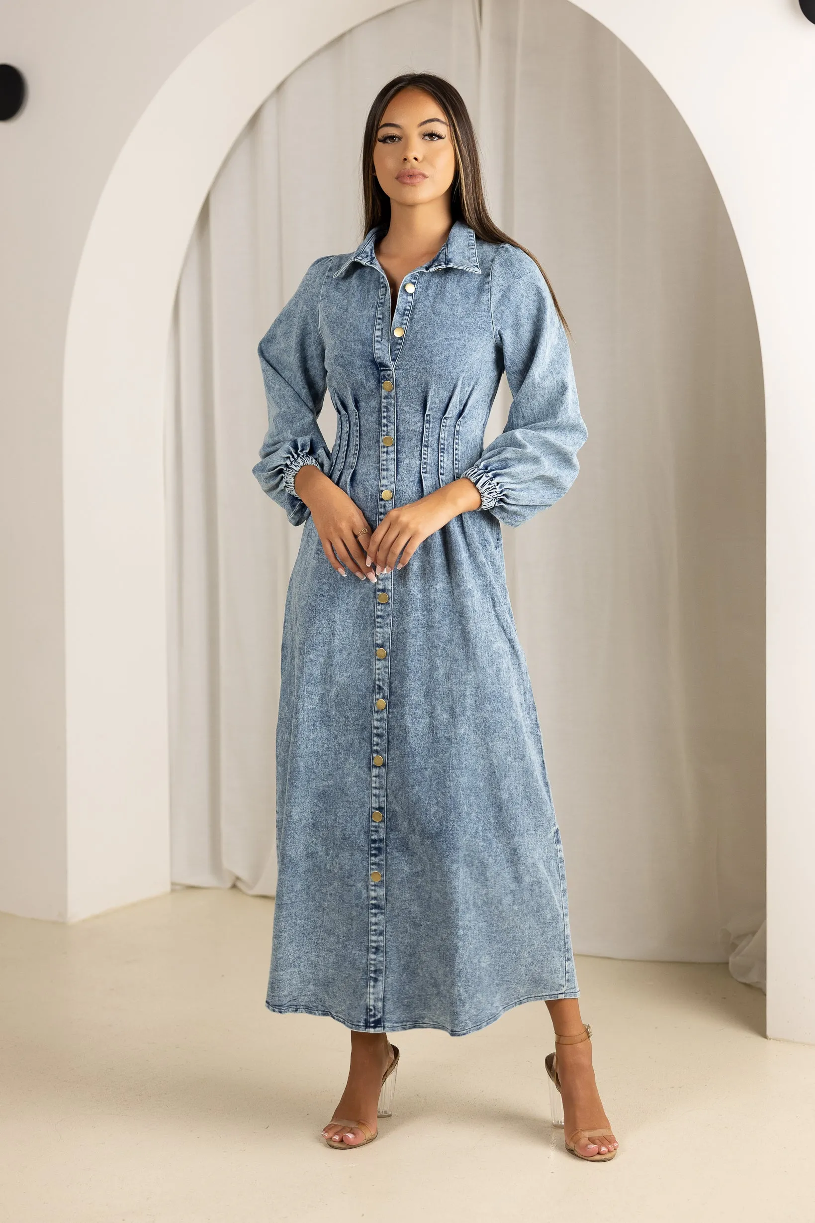 Bonni Denim Dress