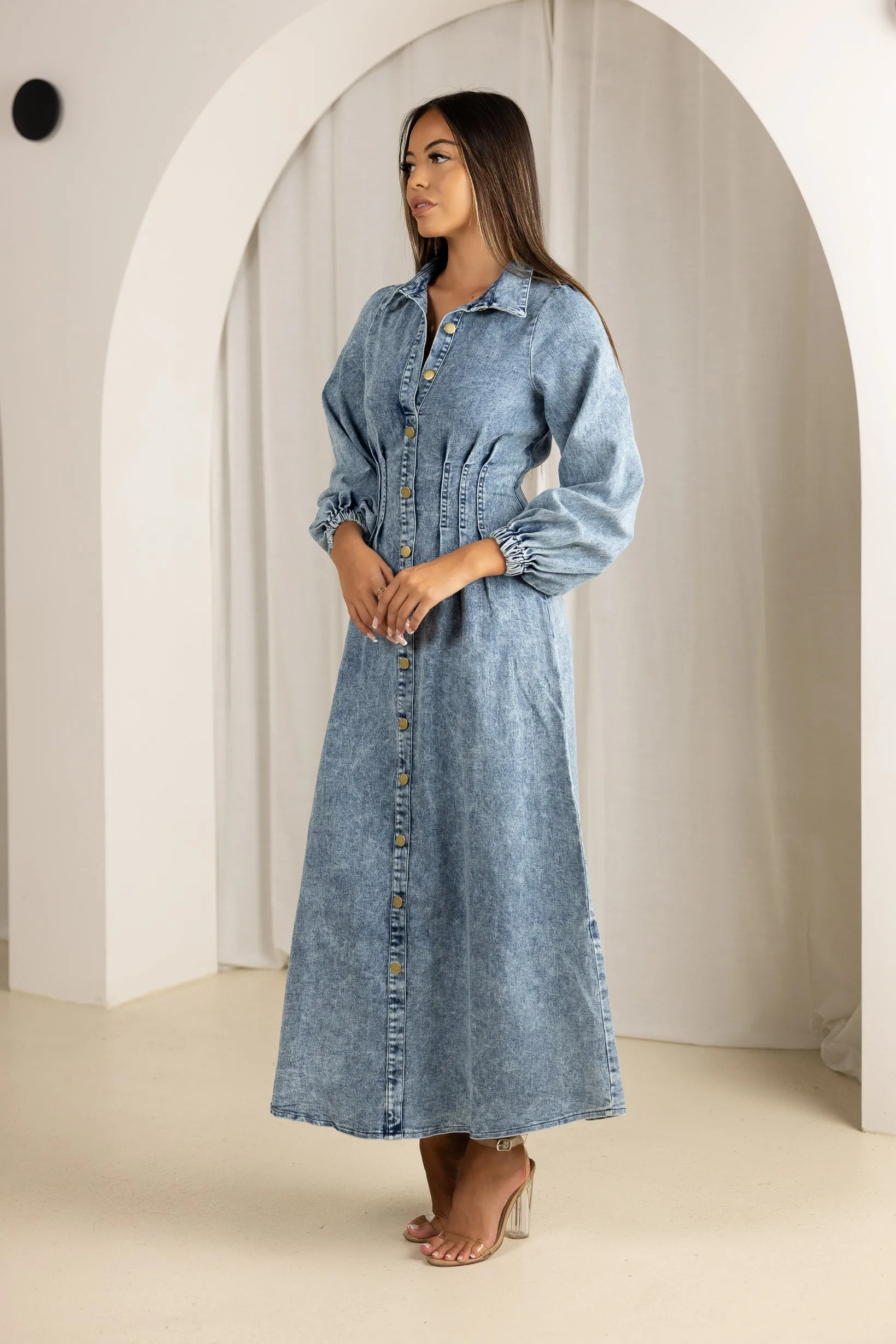 Bonni Denim Dress