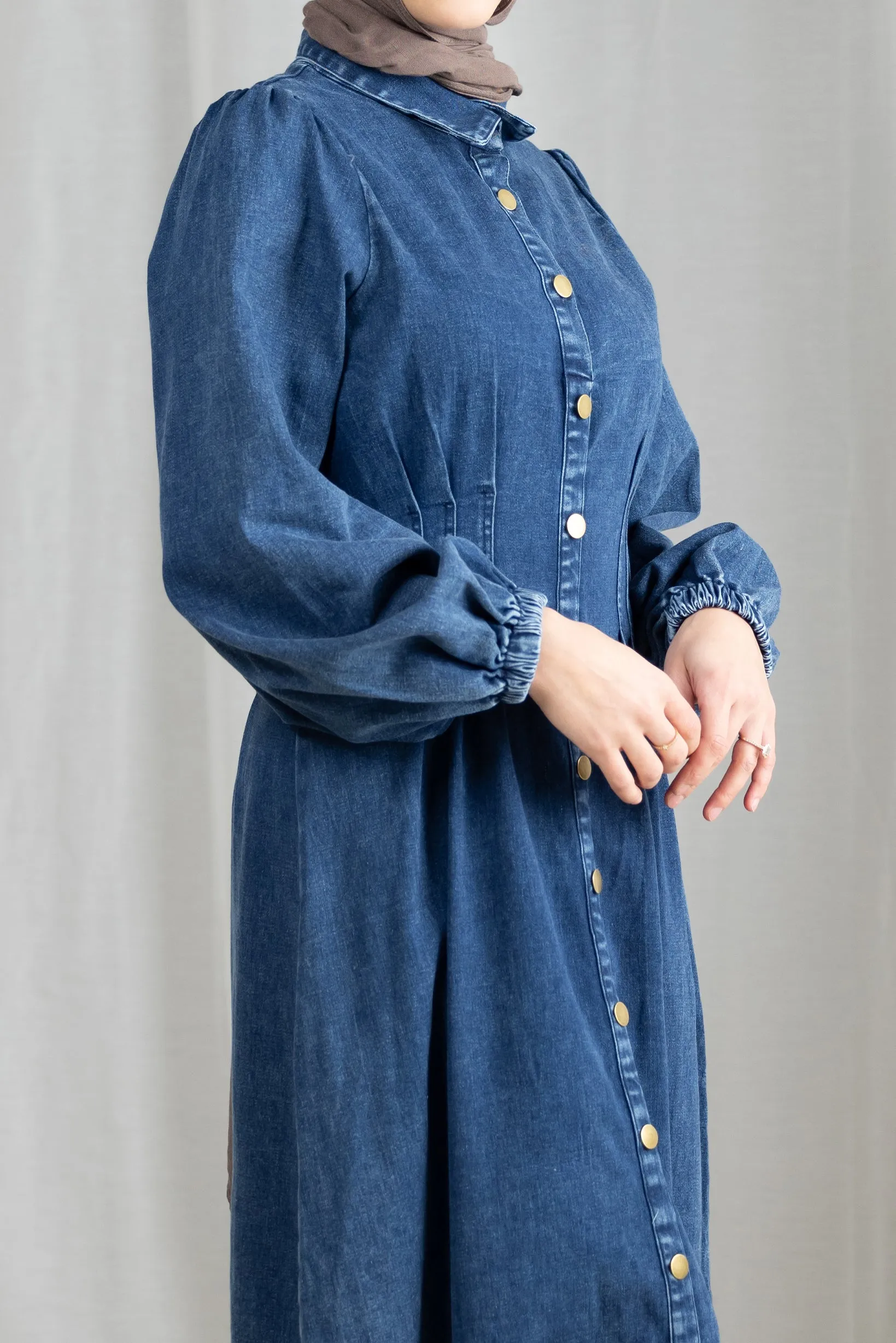 Bonni Denim Dress