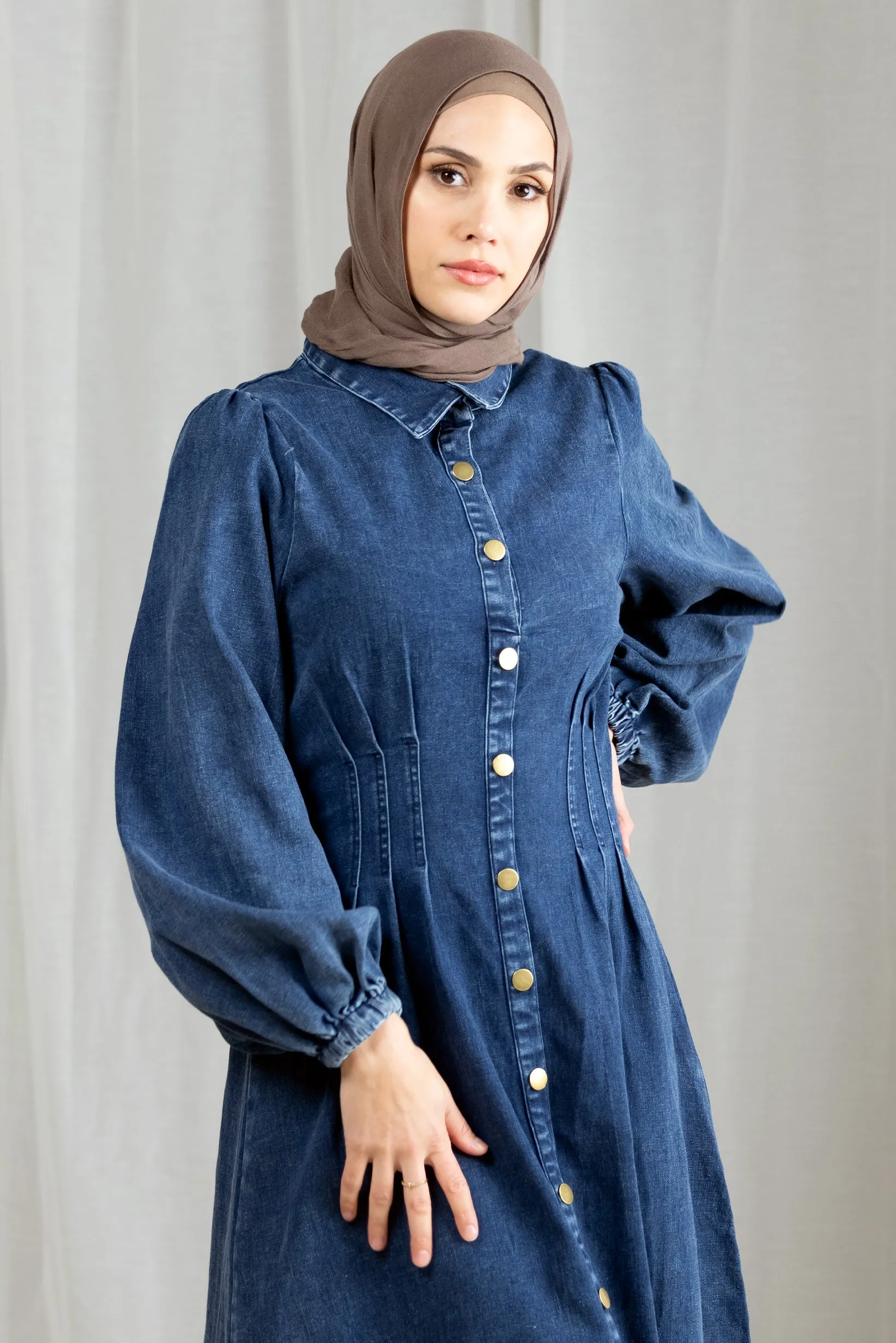 Bonni Denim Dress