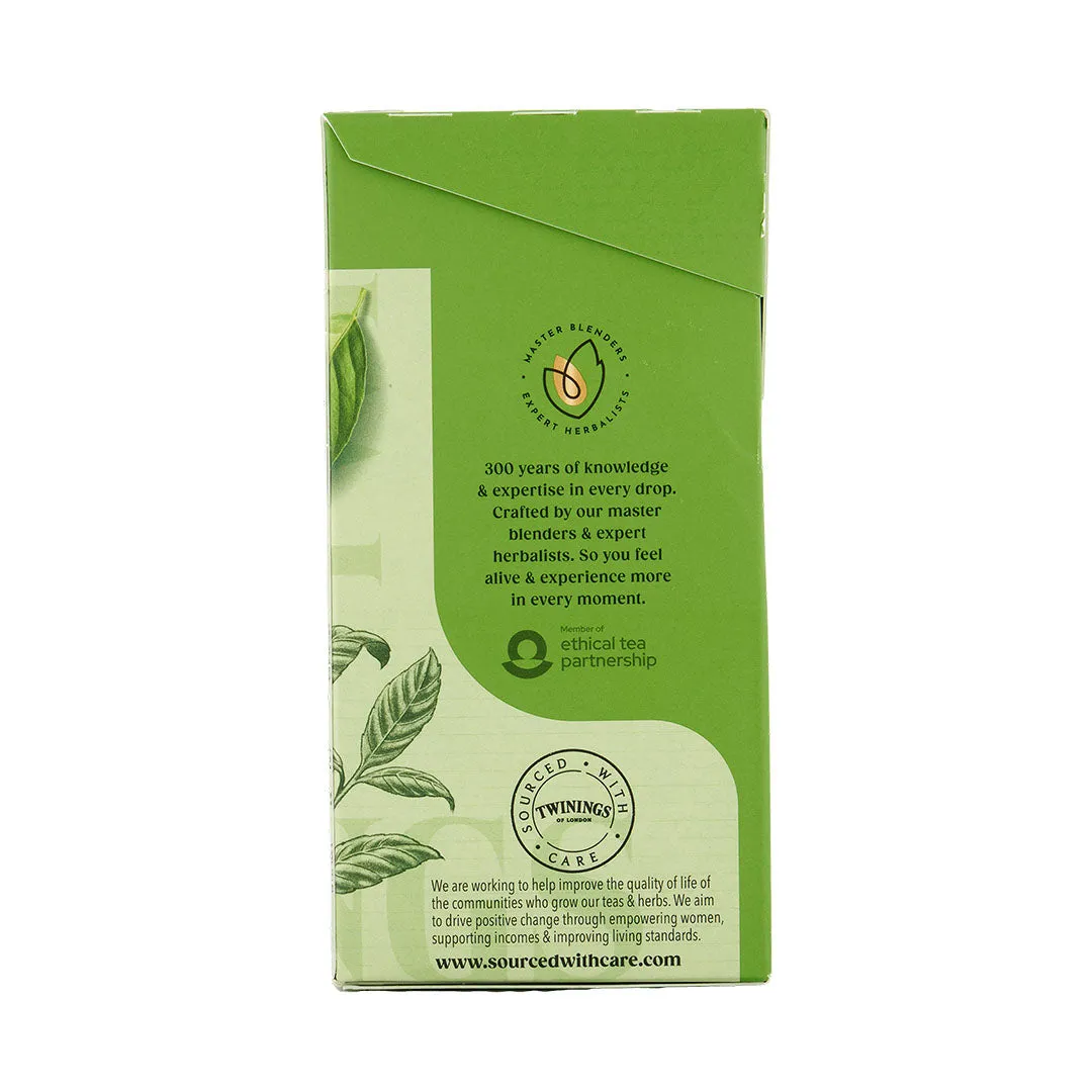 Pure Green Tea - 80 Tea Bags